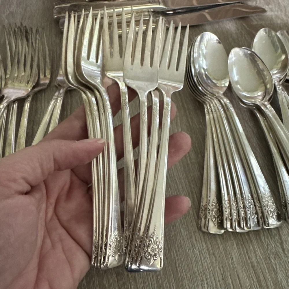Lot of 48 Pcs Wm Rogers MOUNTAIN ROSE International Silver Plate 1954